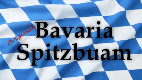 spitzbuam (1)