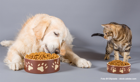 KG_Z1440K_Das richtige Hunde- und Katzenfutter.jpg KG_Z1440K_Das richtige Hunde- und Katzenfutter.jpg