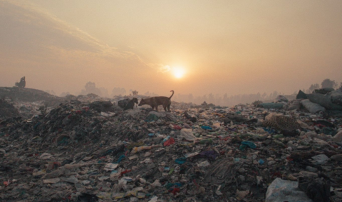PLASTIC FANTASTIC - 2.png PLASTIC FANTASTIC - 2.png