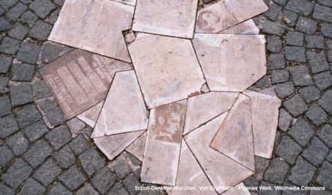 KG_B1022K-H Weiße Rose.jpg