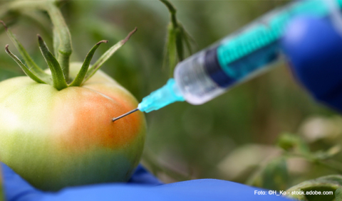 KG_C2052K-H_Aus dem Labor auf den Teller.jpg