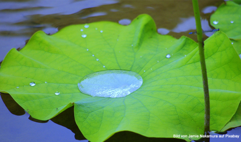 KG_D1077K-H_Begriffe indischen Denkens.jpg