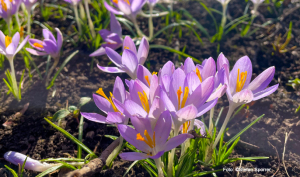 KG_C2864K-H_Bessere Fotos mit dem Smartphone.jpg KG_C2864K-H_Bessere Fotos mit dem Smartphone.jpg