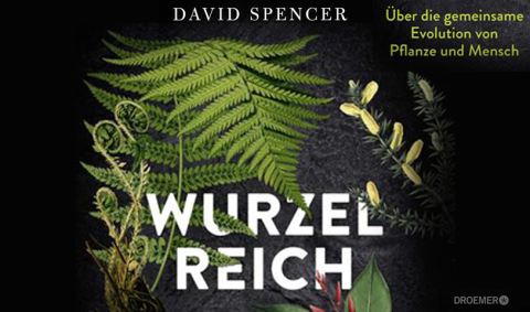 KG_C1304K-H_Wurzelreich.jpg
