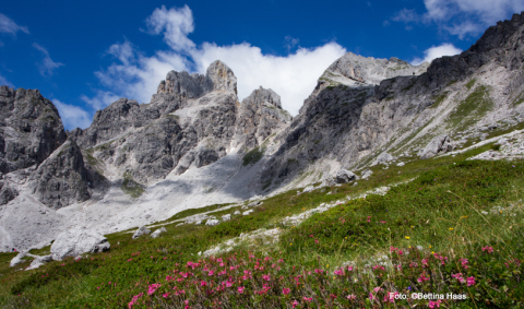 KG_D1702K_Der Dachstein.jpg KG_D1702K_Der Dachstein.jpg