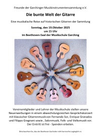Die bunte Welt der Gitarre.jpg