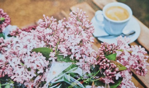 Fühlingscafe Vorlage Kultur-Garching.jpg