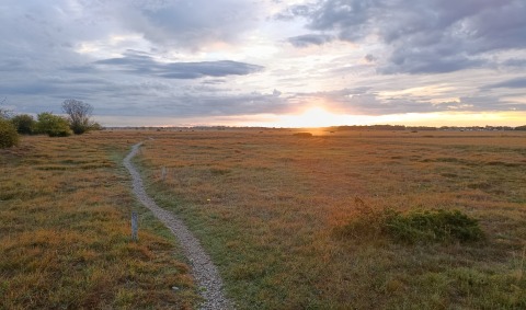 MitdemRechenGarchingerHeide(C)HFV.jpg