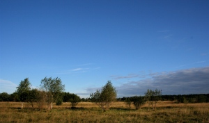Stefan_Sporrer_Landschaft.jpg Stefan_Sporrer_Landschaft.jpg