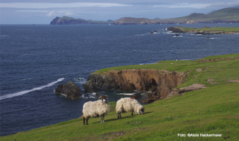 KG_C1738K_Irland.jpg