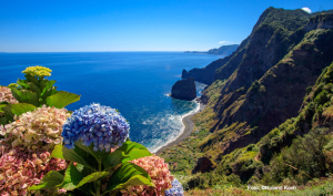KG_C1736K_Madeira.jpg KG_C1736K_Madeira.jpg