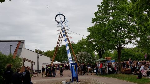 180501_14 07 01 (1).jpg