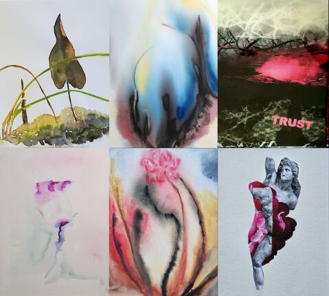 Bild-Presse-Busch-Heide.jpg Bild-Presse-Busch-Heide.jpg