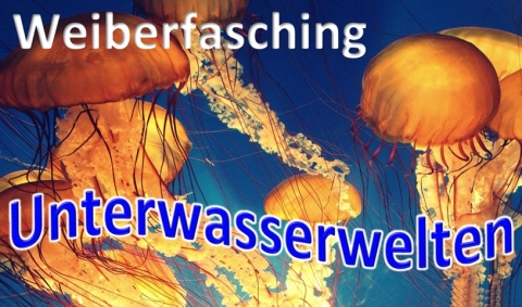 S13_Unterwasserwelten